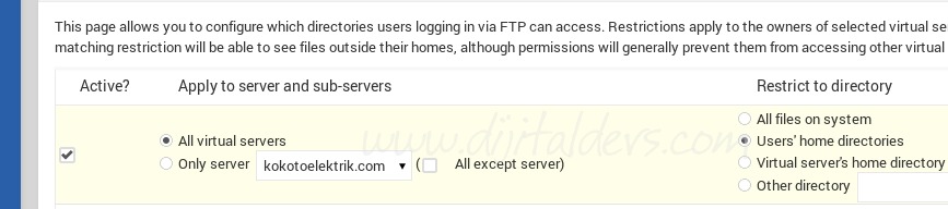 Virtualmin Sorunları ve Çözümleri
